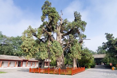 湖南卫视华人春晚播出时间 王宝强刘昊然创意精彩秀‘b体育’(图1) Bsports必一体育