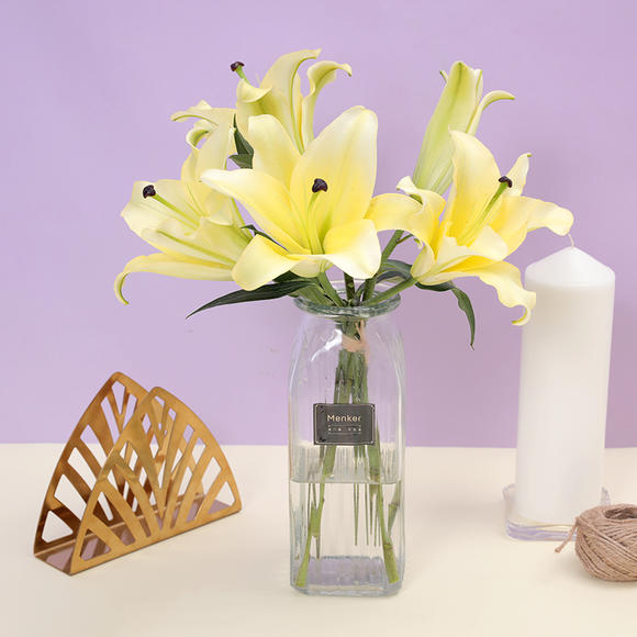 《完美的餐厅》即将营业!8位明星正式成餐厅员工【Bsports必一体育】(图1) b体育