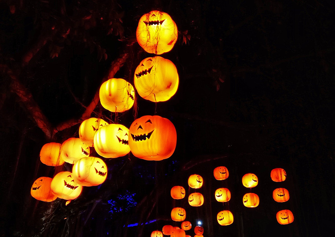 b体育_生态优先、绿色发展的理念正在助力美丽中国建设(图2) b体育