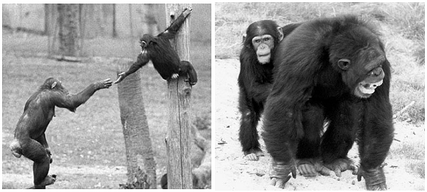 新乡医学院三全学院大学生“双创”教育呈现新气象:Bsports必一体育(图1) Bsports必一体育