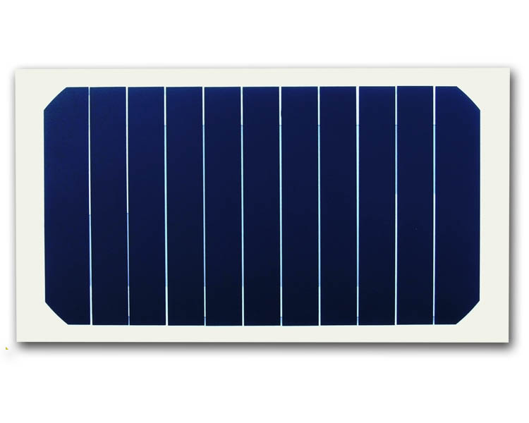 ‘必一’丰莉婷几岁了年龄多大?丰莉婷个人资料及家庭背景(图2) 必一