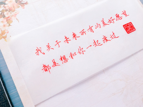 心动的信号女四号揭秘,上戏校花新人演员王靖雯来袭!_必一(图2) Bsports必一体育